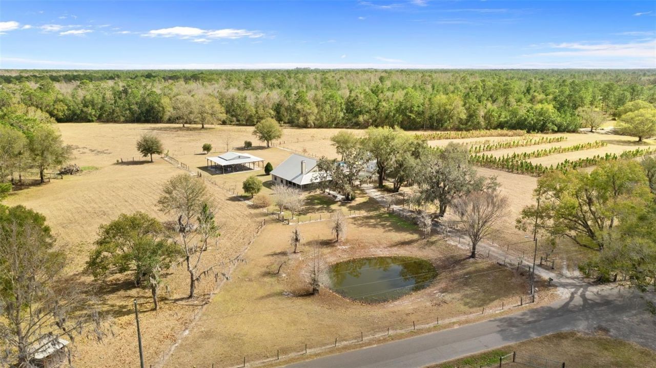 17620 Poyner Road N, Polk City, FL 33868 Photo