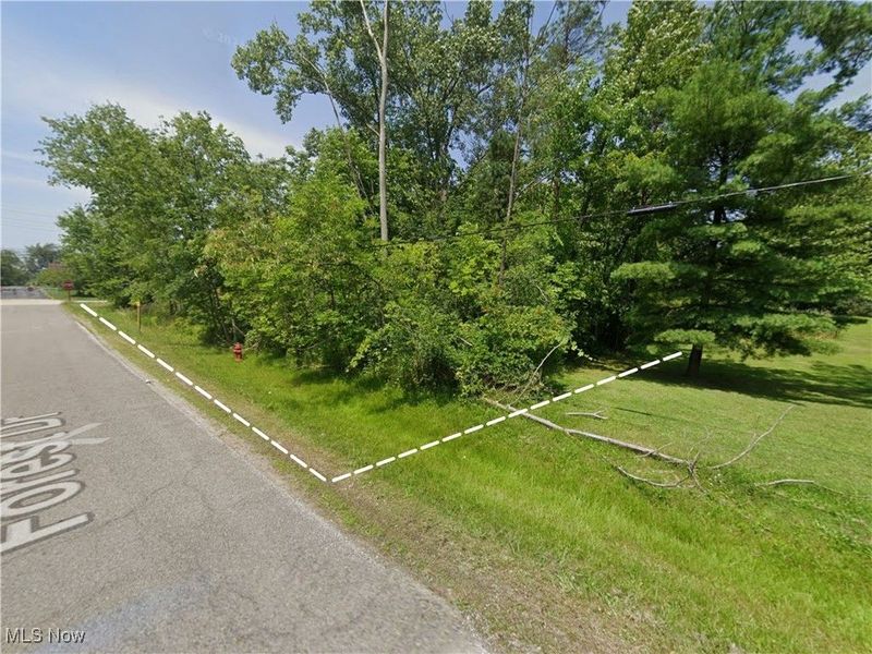 W 130th Street, Hinckley, OH 44233 Photo 1