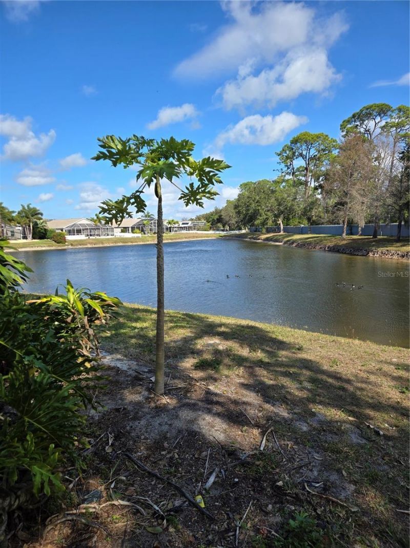 4761 Sabal Key Drive, Bradenton, FL 34203 Photo