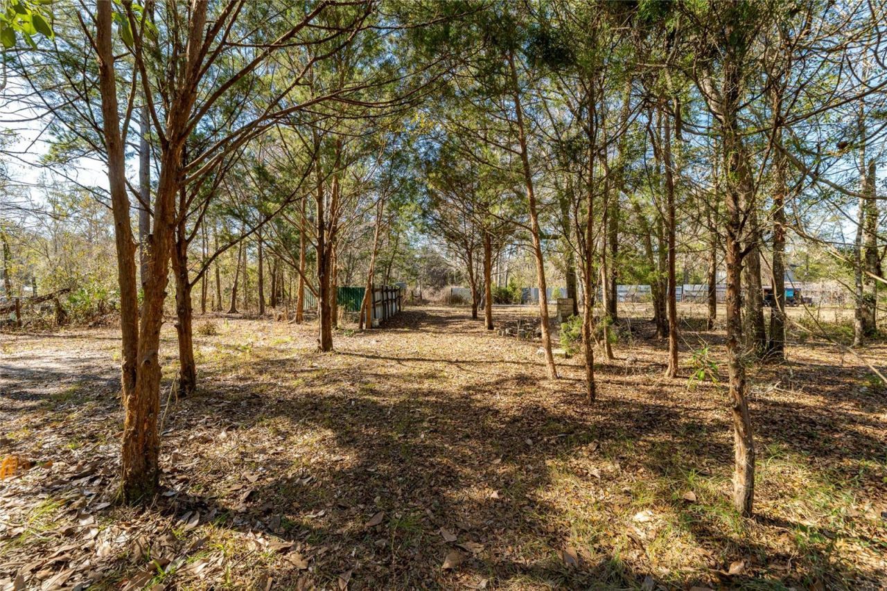 11053 Mulberry Landing Annex, Hilliard, FL 32046 Photo