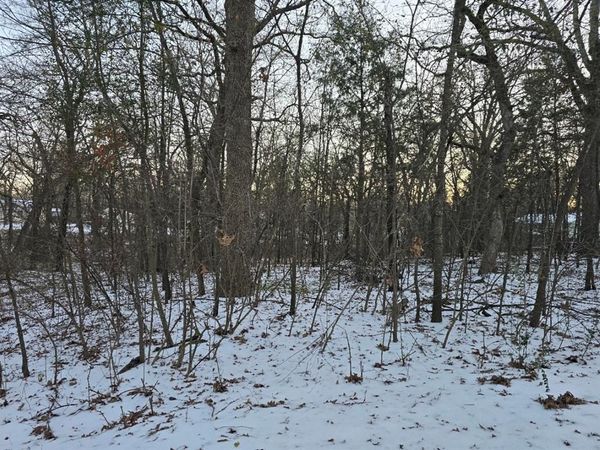 Lot 752 Doe Run Road , Gun Barrel City, TX 75156