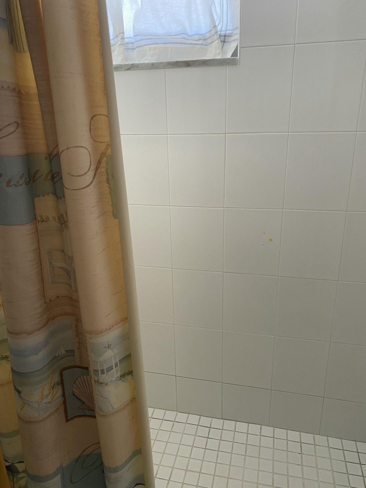 725 Lori Drive, Unit 106, Palm Springs, FL 33461 Photo