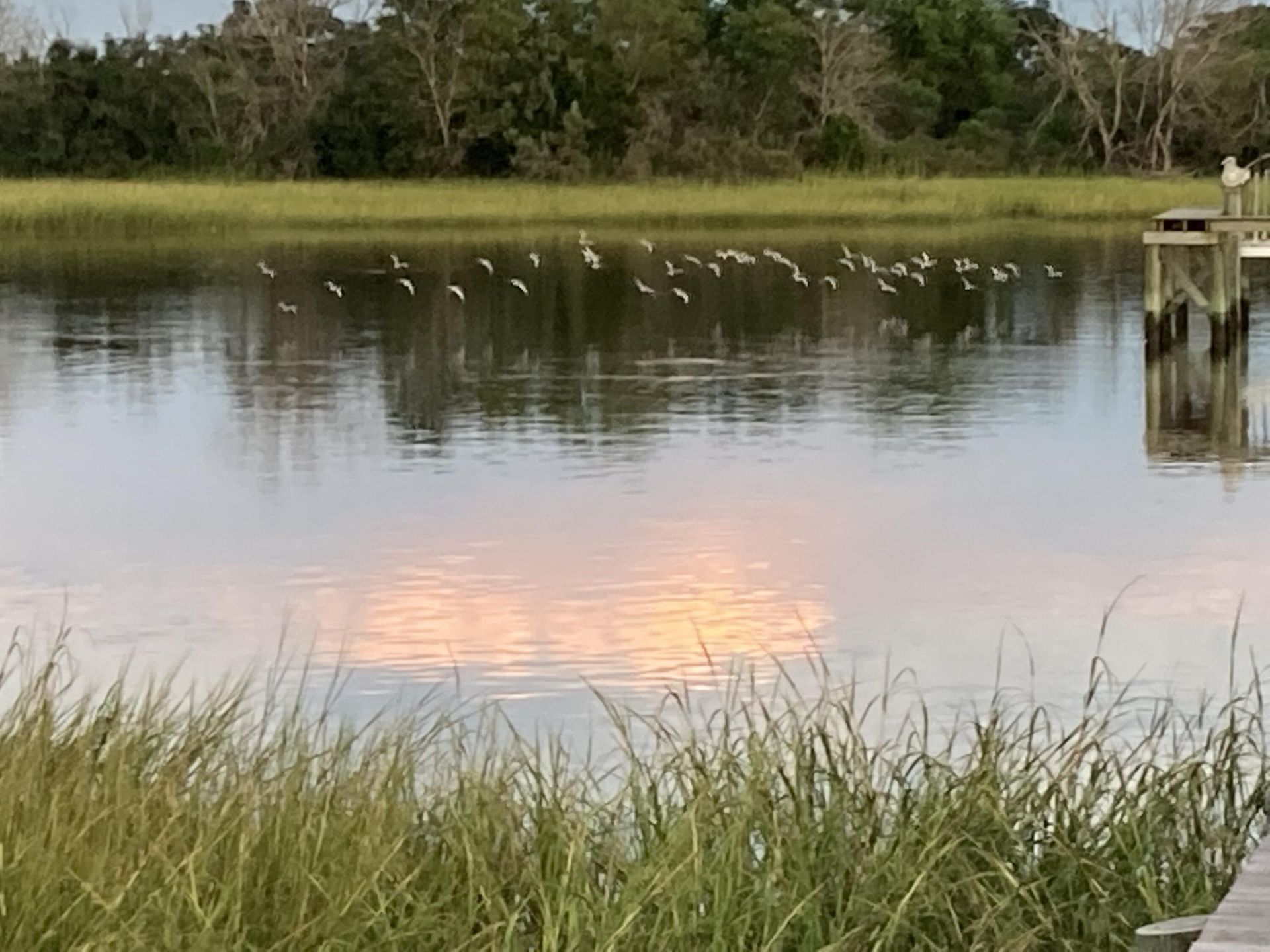 8107 Doar Road Photo 102