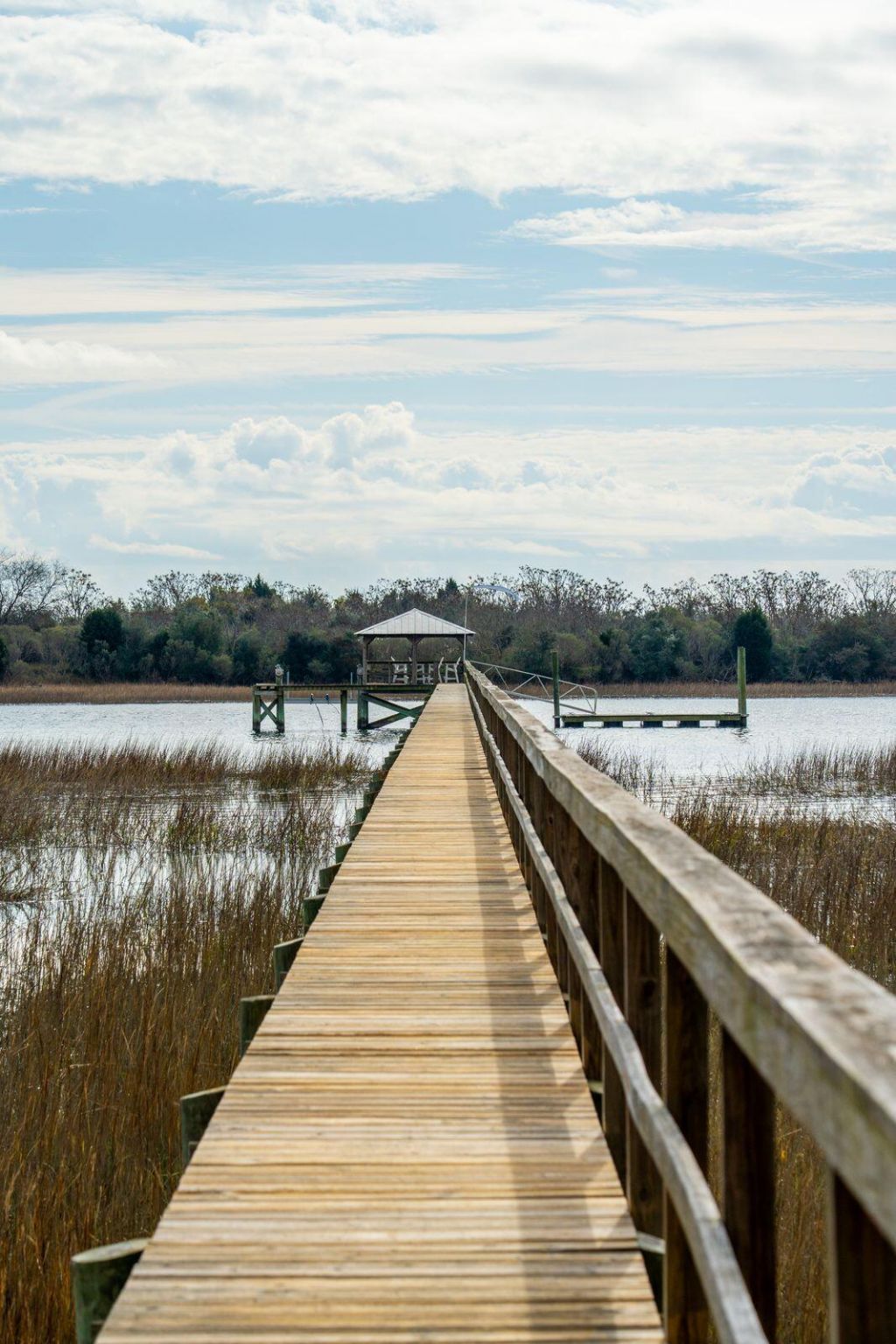 8107 Doar Road Photo 79