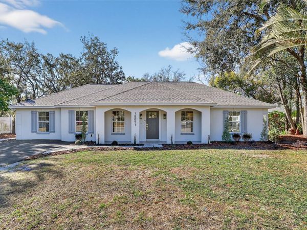 18851 TRACER DRIVE, LUTZ, FL 33549