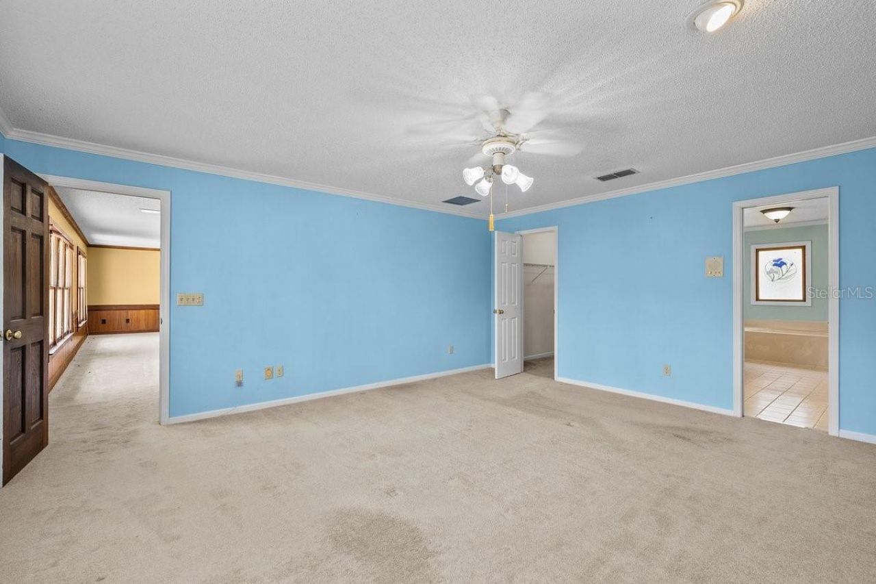 2545 Crooked Creek Point, Middleburg, FL 32068 Photo