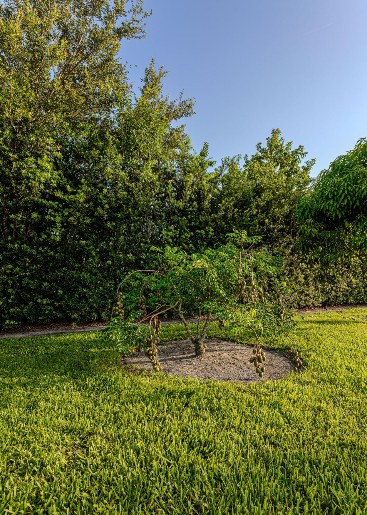 875 NW 120th Avenue, Plantation, FL 33325 Photo