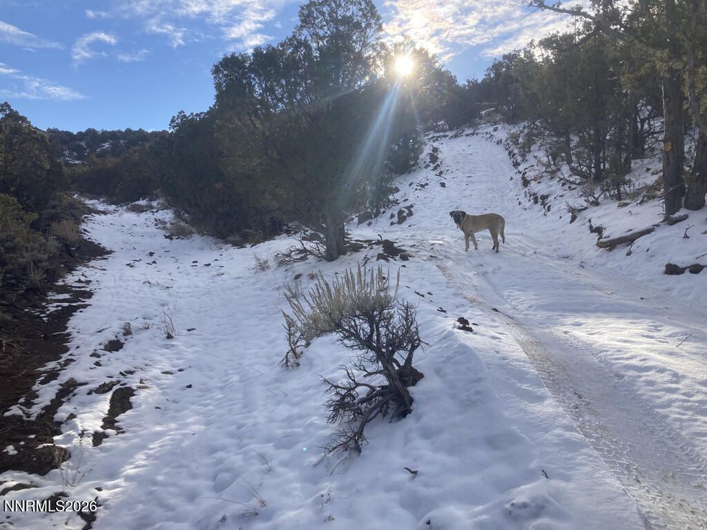 0 Microwave Road, Lot #1, Reno, NV 89510 Photo