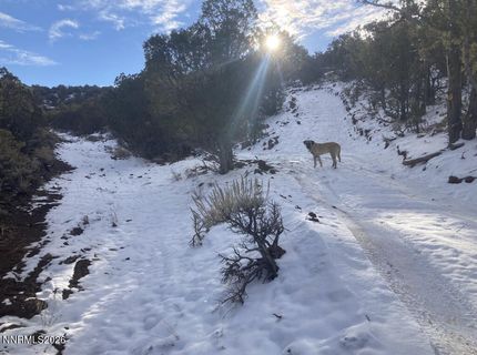 0 Microwave Road, Lot #1, Reno, NV 89510 Photo