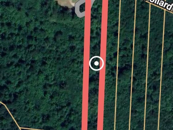 0 Pollard Cemetery Road, Walling, TN 38587