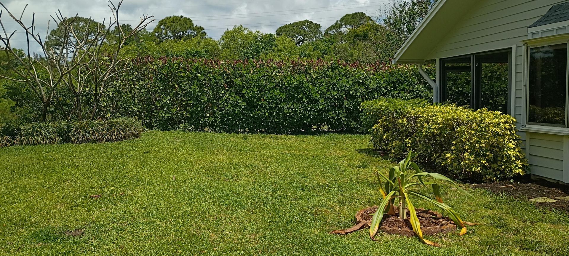 13196 SE Point O Woods Court, Hobe Sound, FL 33455 Photo