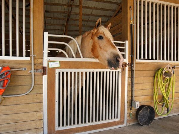 2141 B Road, Loxahatchee Groves, FL 33470