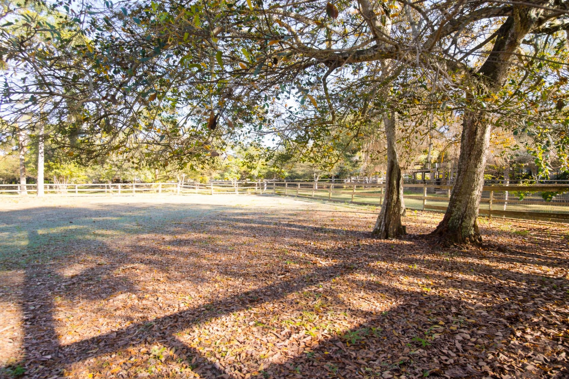 2141 B Road, Loxahatchee Groves, FL 33470 Photo