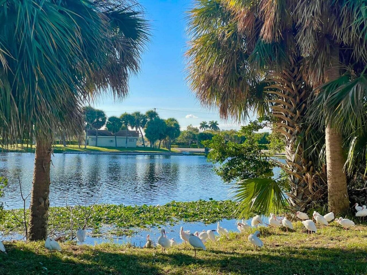 2880 Lake Osborne Drive, Unit 205, Lake Worth Beach, FL 33461 Photo