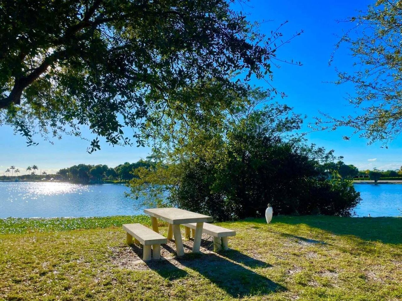 2880 Lake Osborne Drive, Unit 205, Lake Worth Beach, FL 33461 Photo