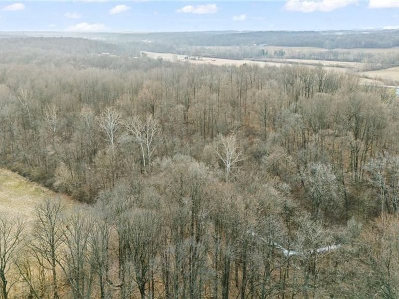 10999 Morrison Mikesell Road, New Paris, OH 45347 Photo 13