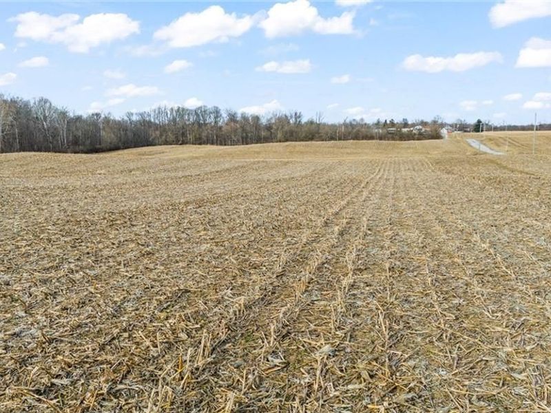 10999 Morrison Mikesell Road, New Paris, OH 45347 Photo 15