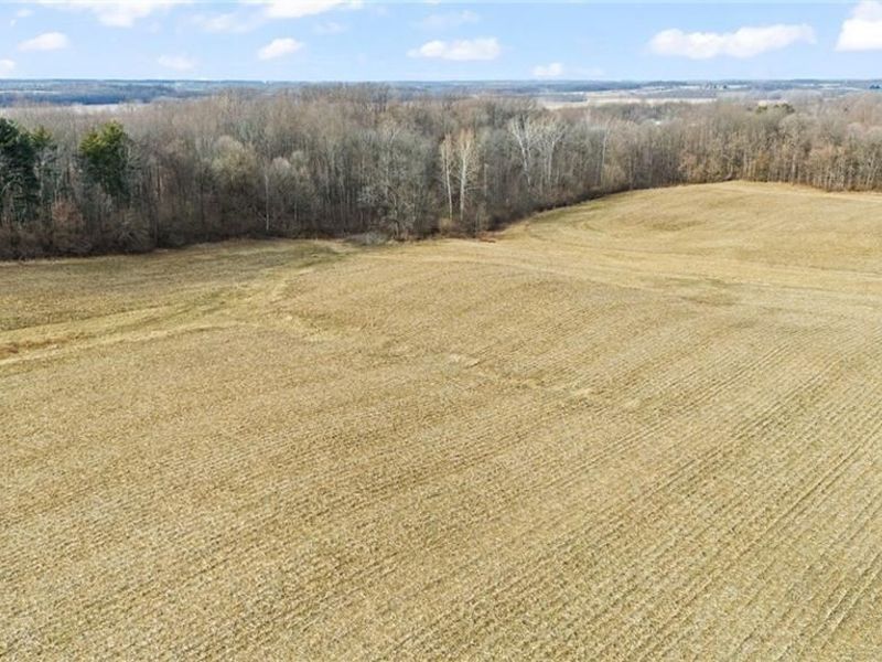 10999 Morrison Mikesell Road, New Paris, OH 45347 Photo 16