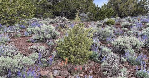 00 Microwave Road, Lot #2, Reno, NV 89510 Photo