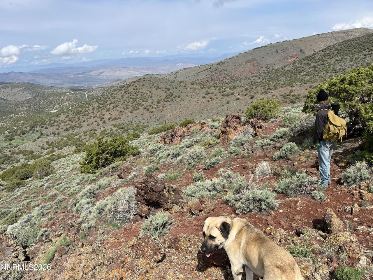 00 Microwave Road, Lot #2, Reno, NV 89510 Photo