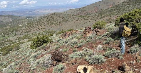 00 Microwave Road, Lot #2, Reno, NV 89510 Photo