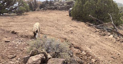 00 Microwave Road, Lot #2, Reno, NV 89510 Photo