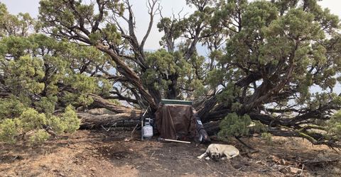 00 Microwave Road, Lot #2, Reno, NV 89510 Photo