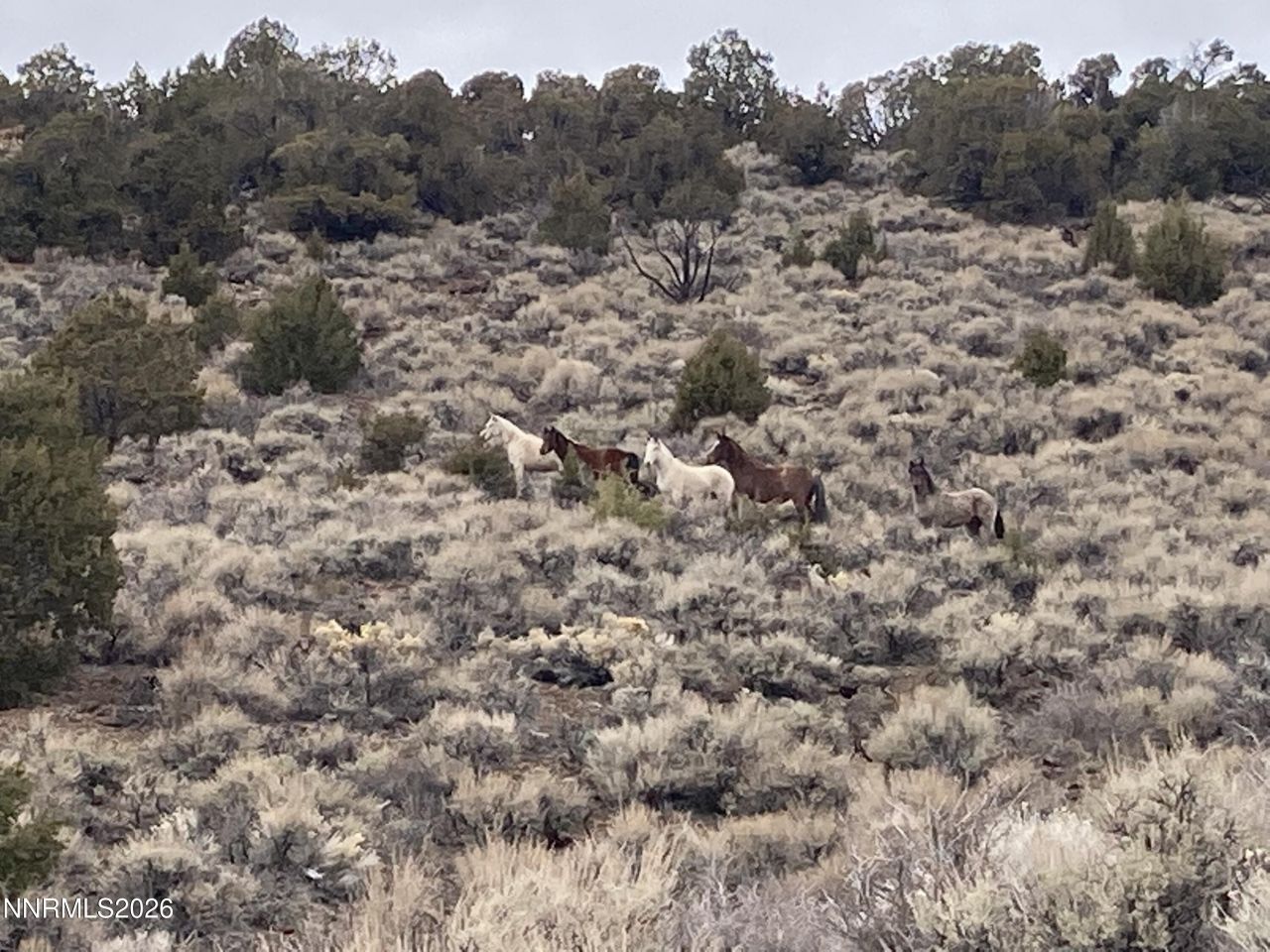 00 Microwave Road, Lot #2, Reno, NV 89510 Photo