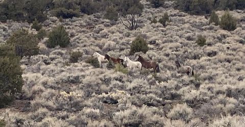 00 Microwave Road, Lot #2, Reno, NV 89510 Photo