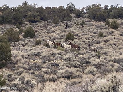 00 Microwave Road, Lot #2, Reno, NV 89510 Photo