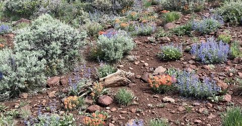 0000 Microwave Road, Lot #3, Reno, NV 89510 Photo