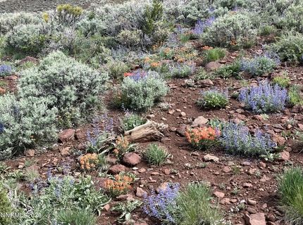 0000 Microwave Road, Lot #3, Reno, NV 89510 Photo