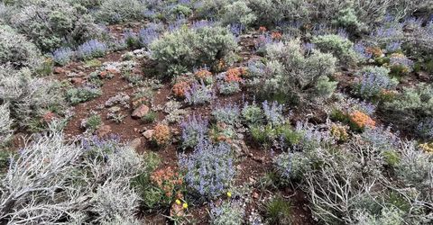 0000 Microwave Road, Lot #3, Reno, NV 89510 Photo