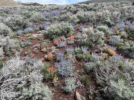 0000 Microwave Road, Lot #3, Reno, NV 89510 Photo