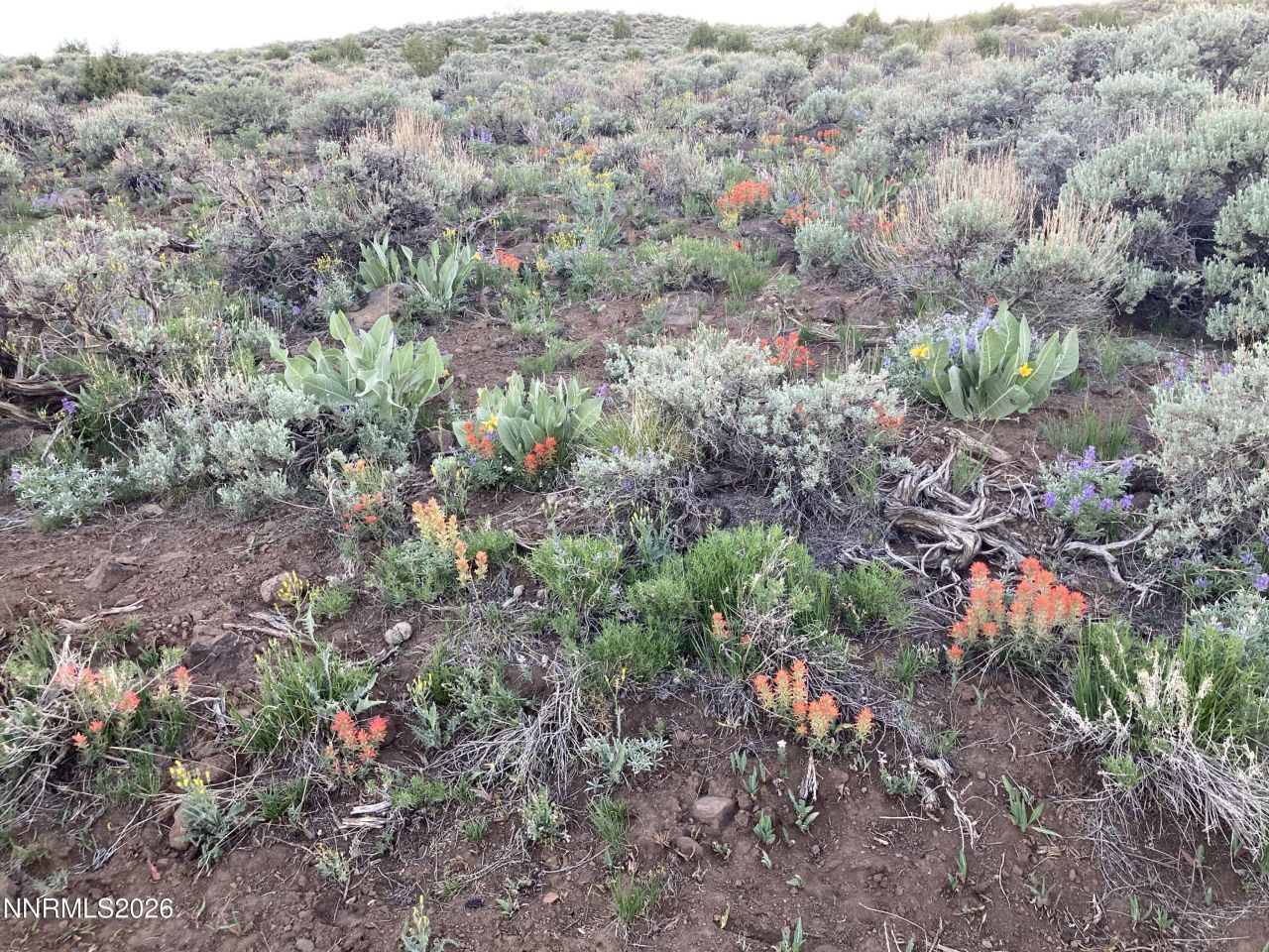 0000 Microwave Road, Lot #3, Reno, NV 89510 Photo