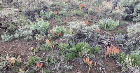 0000 Microwave Road, Lot #3, Reno, NV 89510 Photo