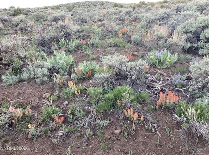 0000 Microwave Road, Lot #3, Reno, NV 89510 Photo