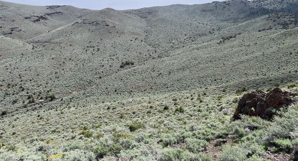 0 Microwave Road, Lot #4, Reno, NV 89510 Photo