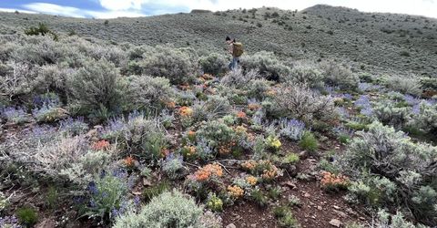 0 Microwave Road, Lot #4, Reno, NV 89510 Photo