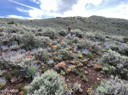 0 Microwave Road, Lot #4, Reno, NV 89510 Photo