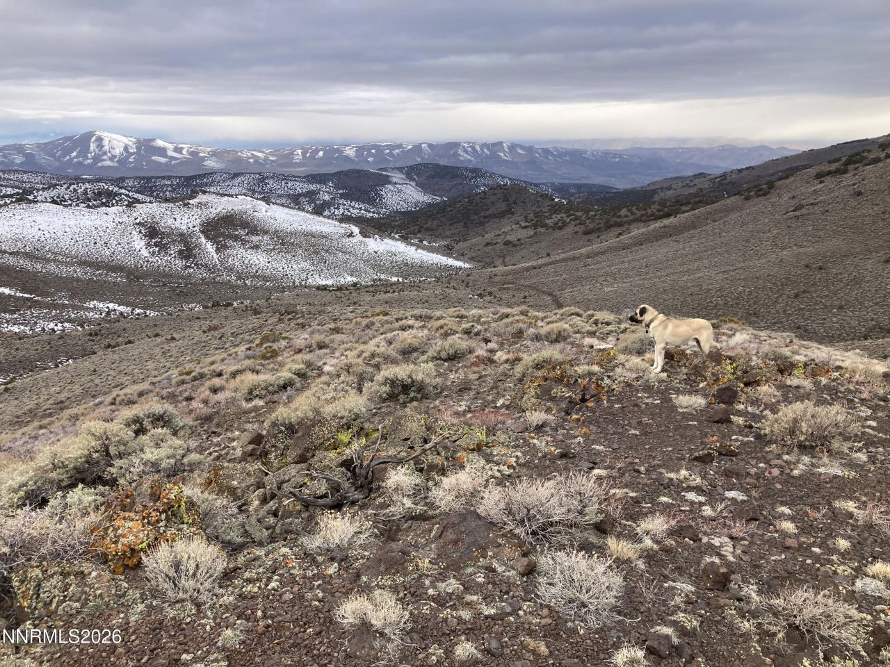 0 Microwave Road, Lot #4, Reno, NV 89510 Photo