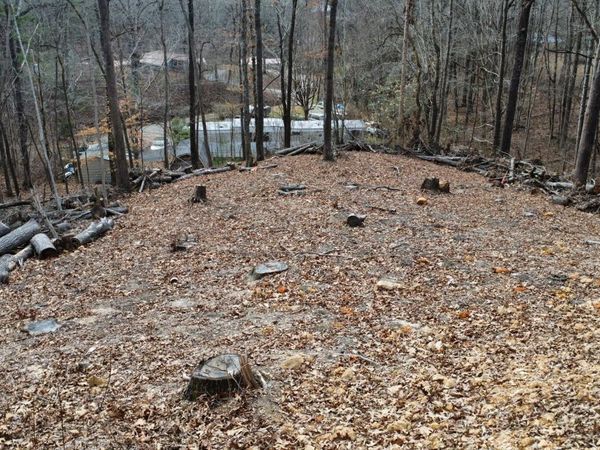 111 Scenic Drive, Harriman, TN 37748