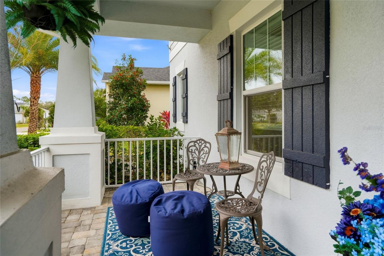 33564 Willow Point Court, Wesley Chapel, FL 33545 Photo