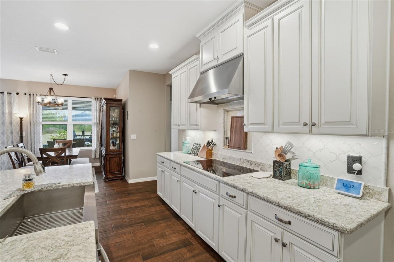 33564 Willow Point Court, Wesley Chapel, FL 33545 Photo