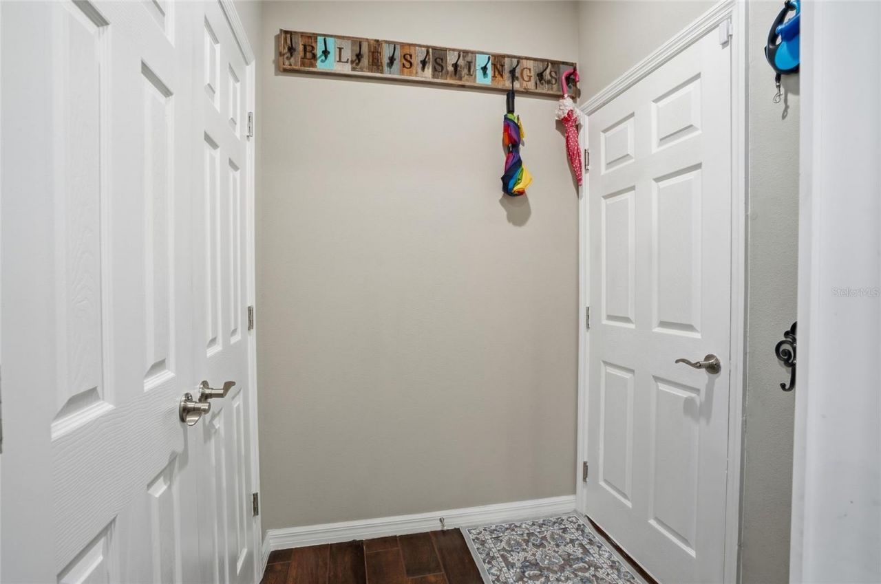 33564 Willow Point Court, Wesley Chapel, FL 33545 Photo