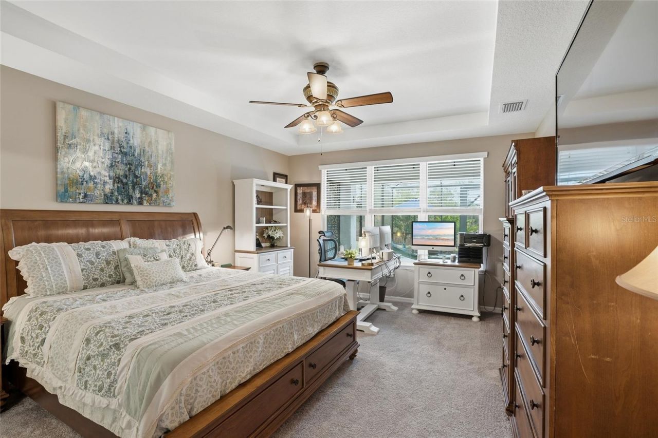 33564 Willow Point Court, Wesley Chapel, FL 33545 Photo