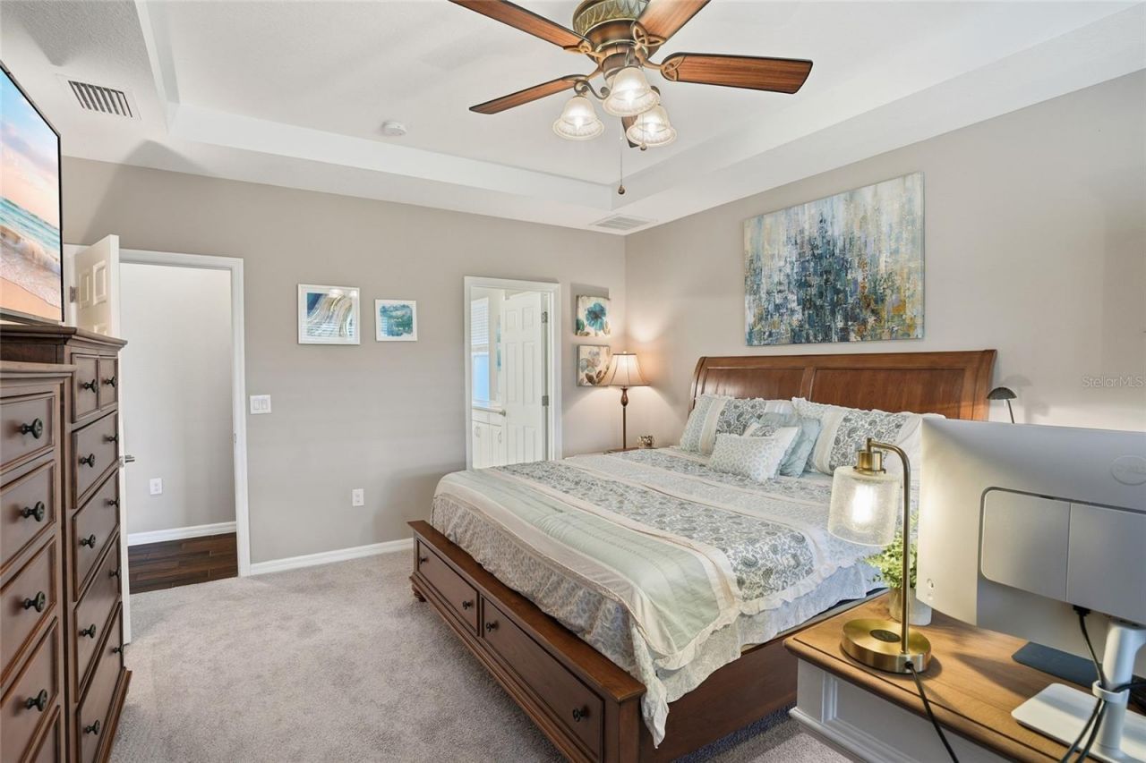 33564 Willow Point Court, Wesley Chapel, FL 33545 Photo