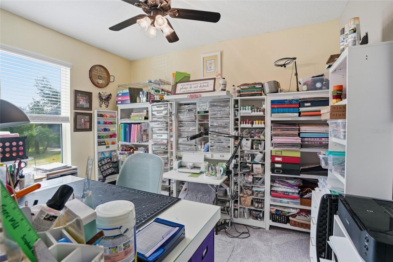 33564 Willow Point Court, Wesley Chapel, FL 33545 Photo