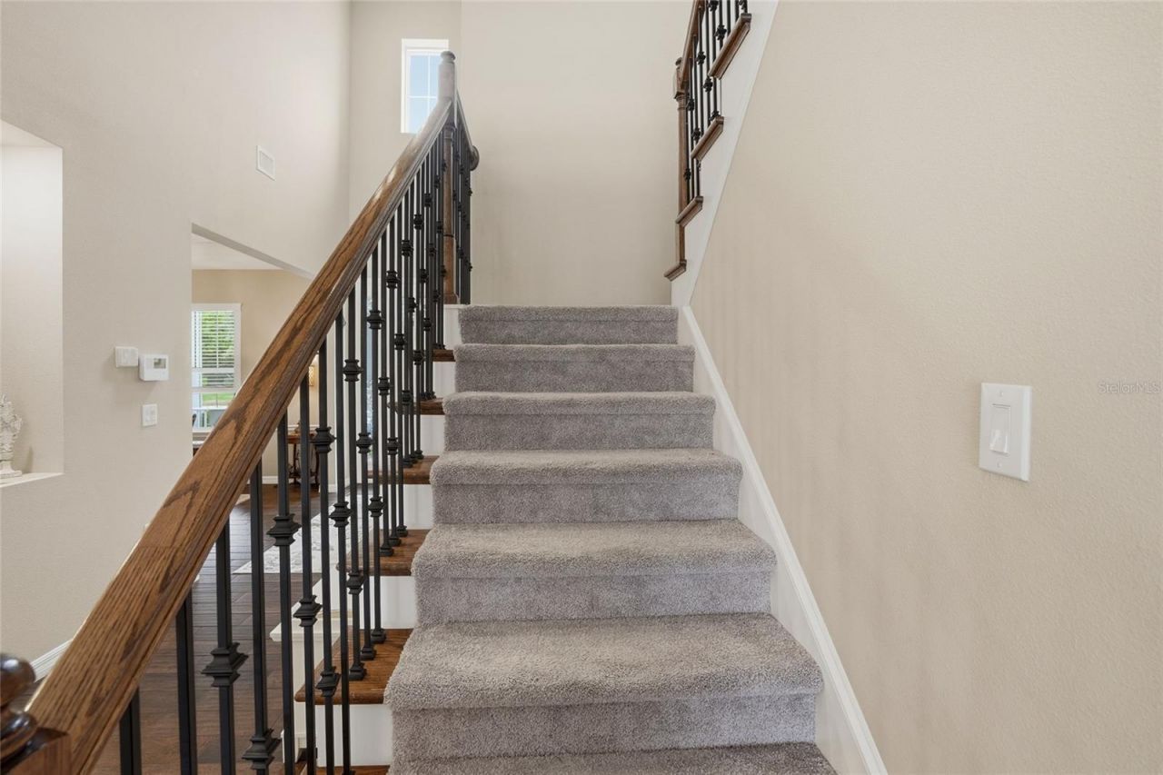 33564 Willow Point Court, Wesley Chapel, FL 33545 Photo