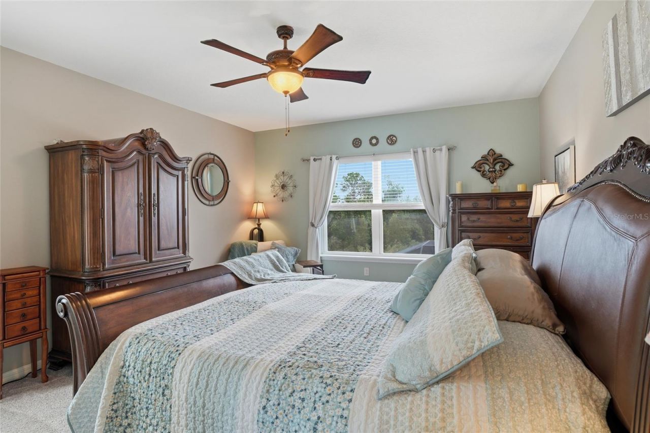 33564 Willow Point Court, Wesley Chapel, FL 33545 Photo